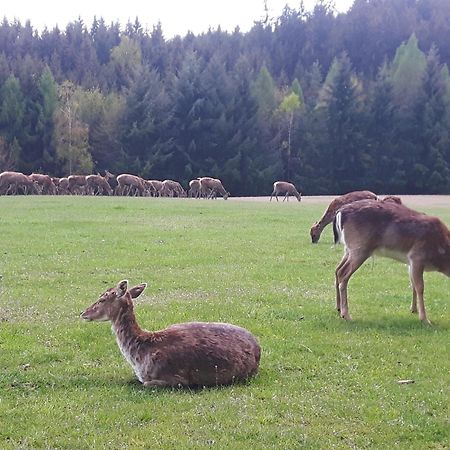 Appartamento Am Quellenhaeuschen Naila Esterno foto